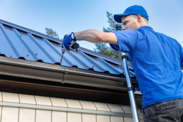 Best Metal Roofing Installation  in Greenville, MI