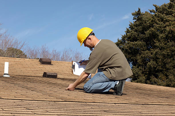 Best Asphalt Shingle Roofing  in Greenville, MI